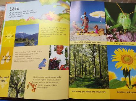 D35 moje první encyklopedie - s medvídkem pú,