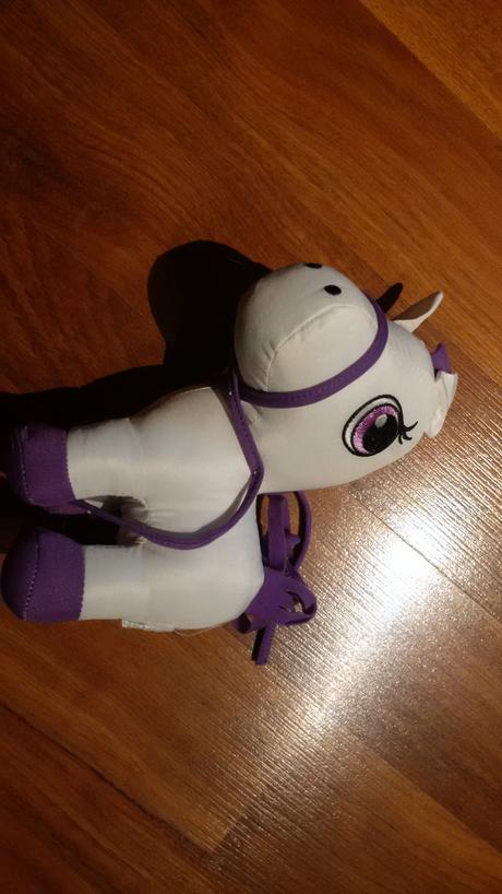 Popisovatelný koník,