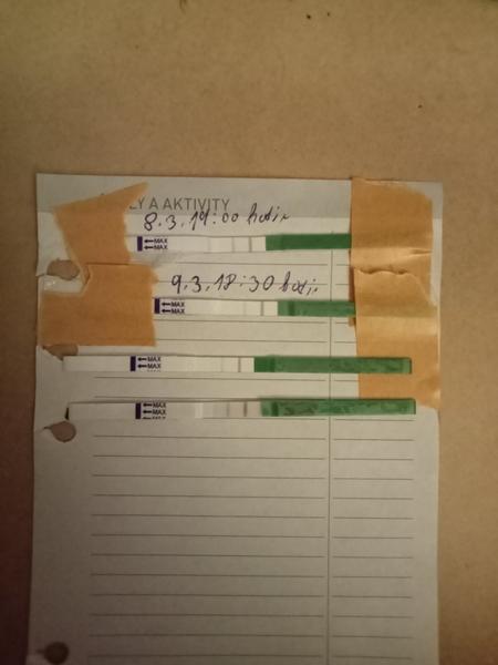 Ovulační testy. Jak poznat pozitivní výsledek?