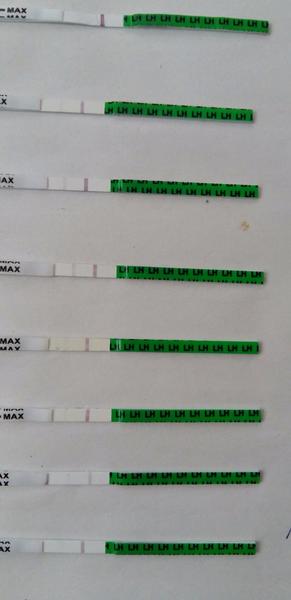 Nevím si rady s ovulační testem. Poradíte?