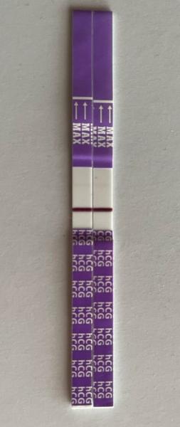 Duch na mamatestu: Jak poznat těhotenský úspěch?