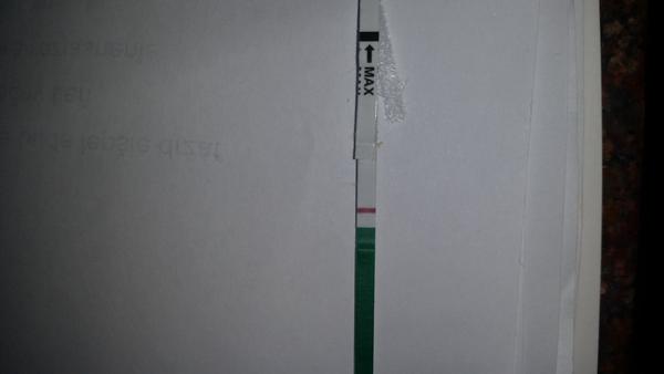 Těhotenský test + moje príznaky alebo ako to vidím ja