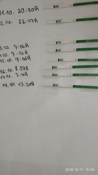 Maminky proběhne do 24-48h ovulace?