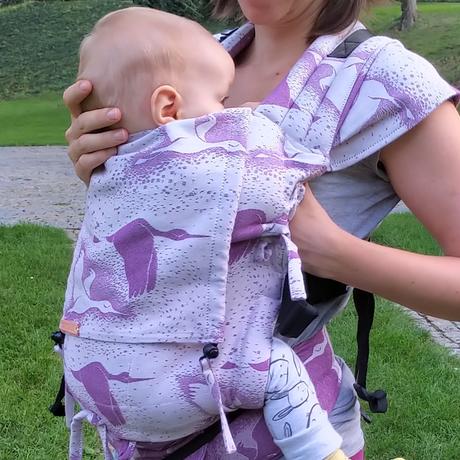 Nosítko andala, andala