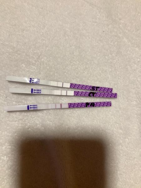 Byla ovu, nebo ještě počkat?