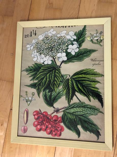 Rám na obraz 33,5x43cm se sklem v krémové, 