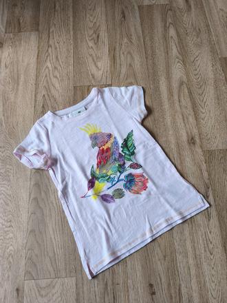 Světle růžové tričko s papouškem h&m 110-128, h&m,116