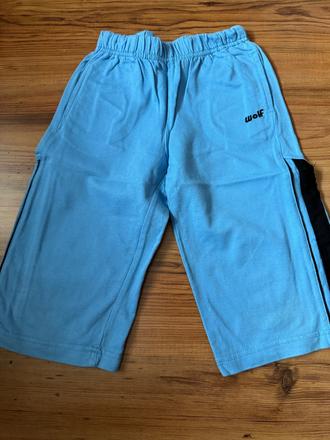 3/4 kraťasy, wolf,110