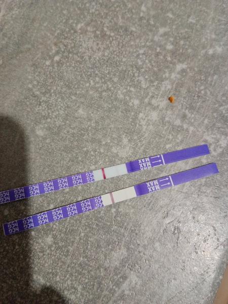 Naděje na těhotenství po 12 dnech od styku?