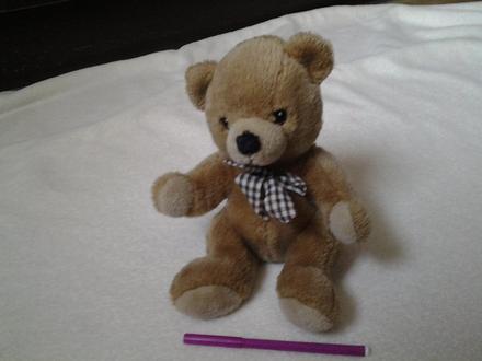 Plyšový medvidek se stuhou, 