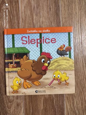 Kniha slepice, 