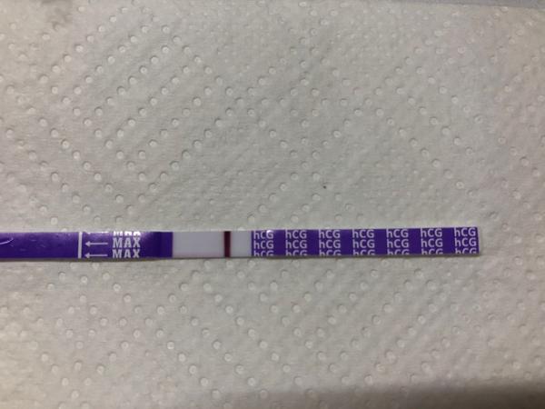 Vidíte něco na testu?