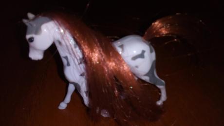 Kůň se třpytivou hřívou,