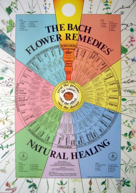 Bachovy esence ale 50 ml + přímo na míru, 