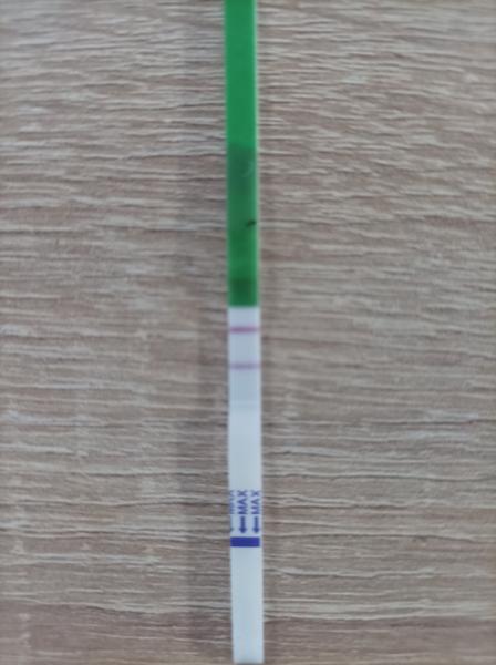 Jak správně interpretovat pozitivní ovulační test po Clostilbegytu?