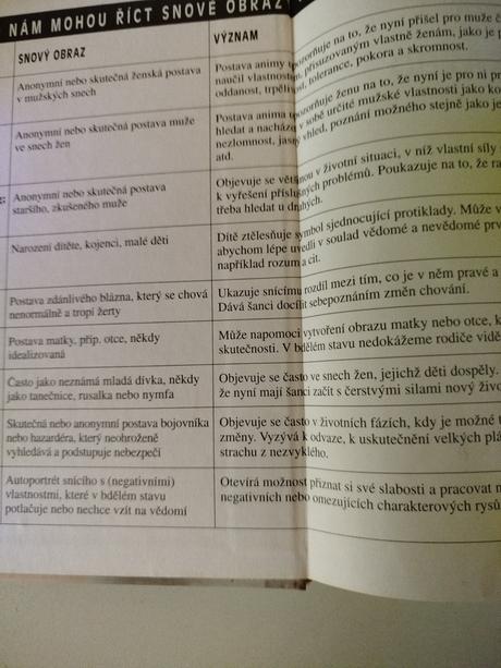 Obrazy našich snů, 