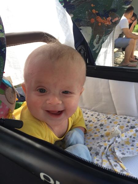 Menší oko, slehlá hlava