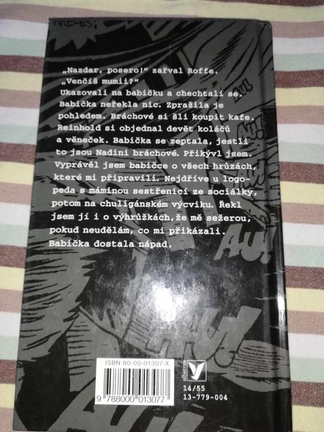 Kniha - bert a bráchové,