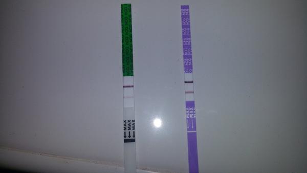 Co si o tom, prosím, myslíte?