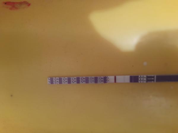 Je možný pozitivní test?