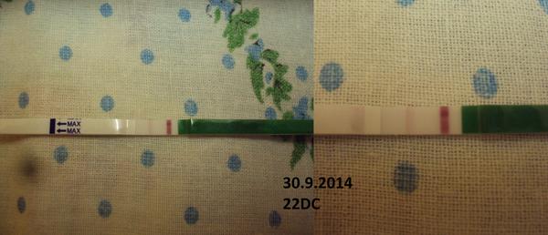 Pozitivní ovu test nebo ne?