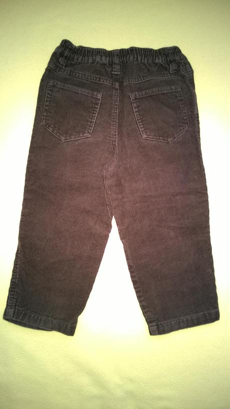 Manšestráky, st. bernard,98