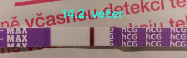 Je na těhotenském testu duch nebo falešný výsledek?
