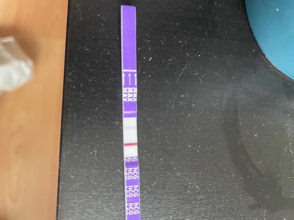 Duch. Co si myslíte?