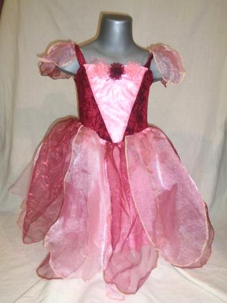 Karneval - šípková růženka, 