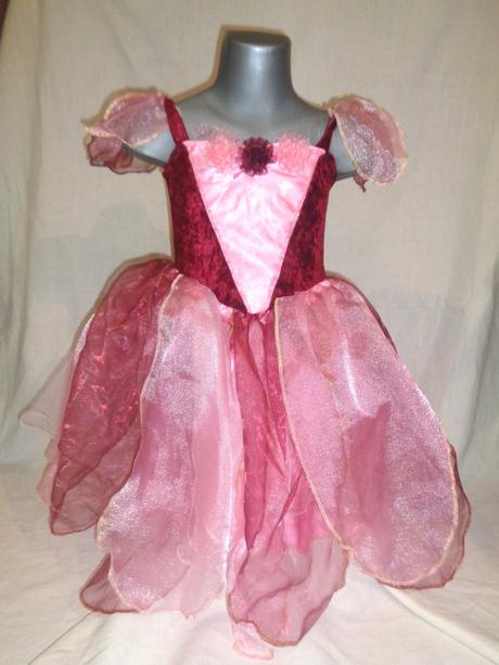 Karneval - šípková růženka, 