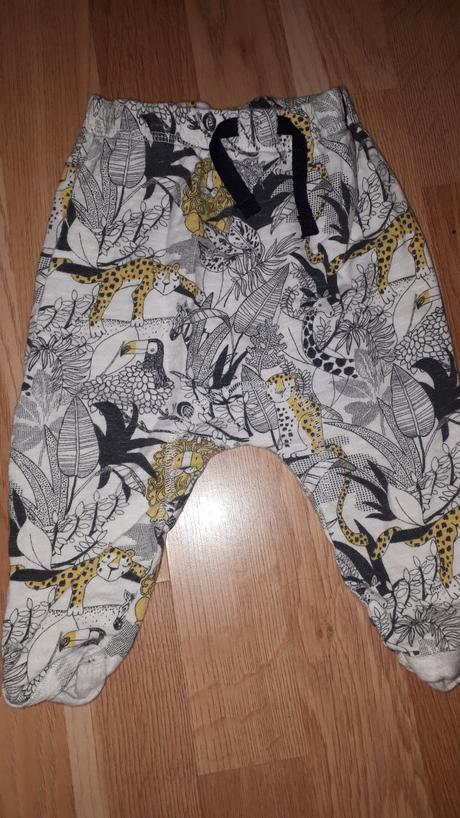 Zvířátkové tepláky, next,74