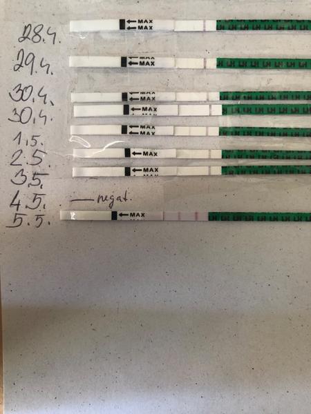 Zkušenosti s měřením bazální teploty a ovulačními testy