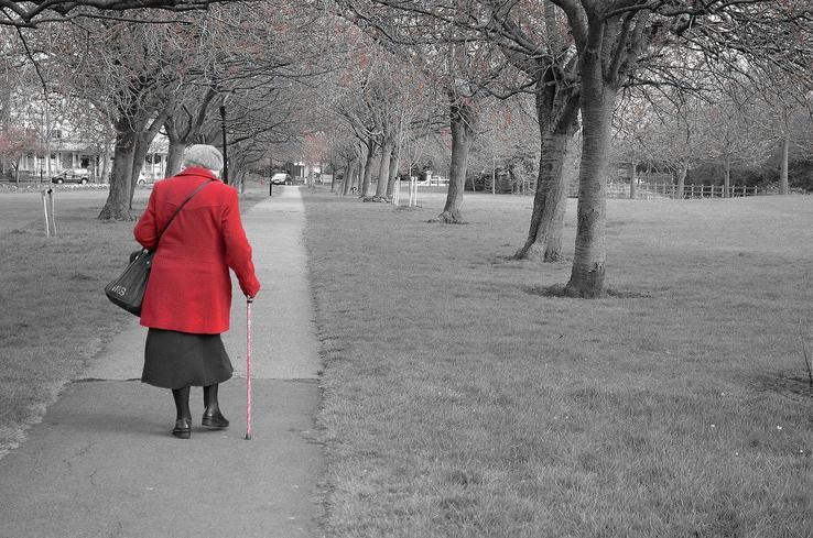 Jak se Alzheimerova choroba v běžném životě Jak se Alzheimerova choroba v běžném životě