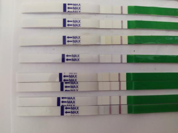 Je ovulační test pozitivní?