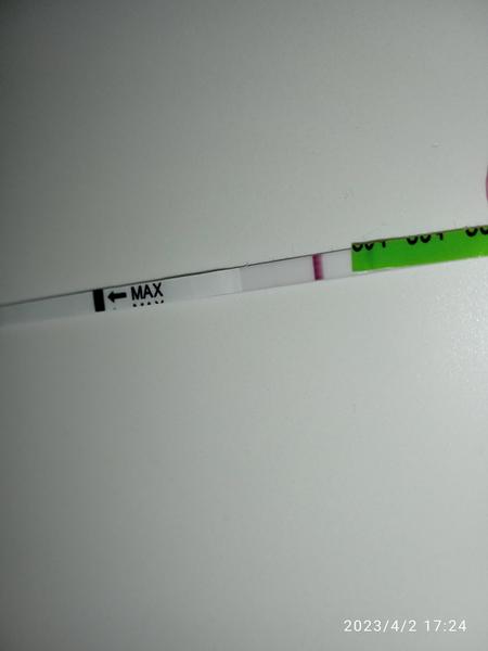 Těhotenský test před menstruací: Je výsledek spolehlivý?