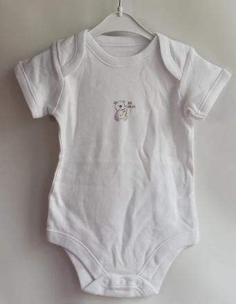 Body vel. 0 - 3 m, early days,62