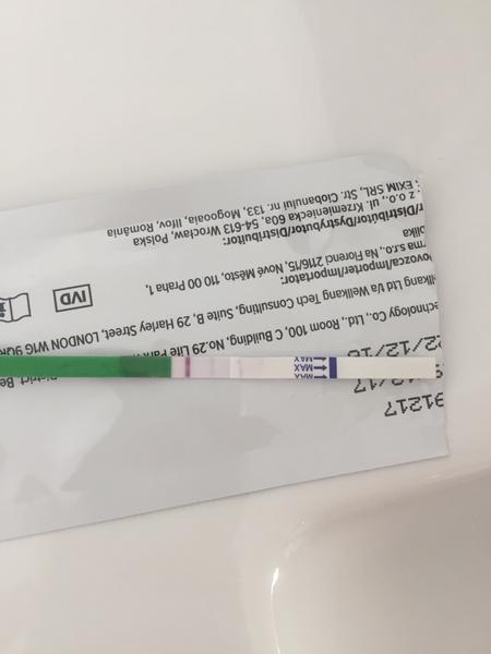 Ovulace. Kdy cca mohla proběhnout?