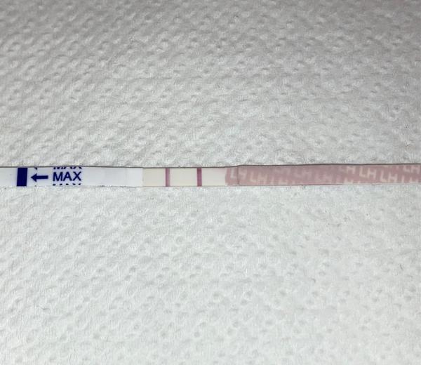 Kdy po revizi můžeme zkusit otěhotnět?