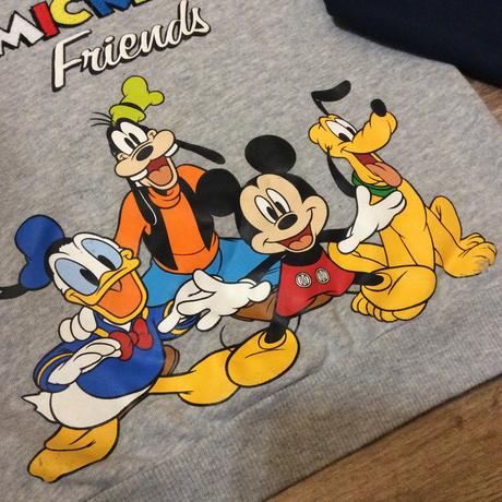 Mikina ,,mickeys friends", tu,98