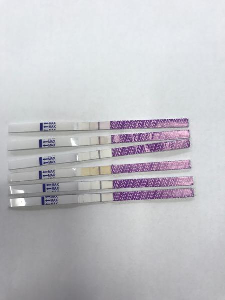 Ovulační test po ovulaci před MS. Může to značit těhotenství?