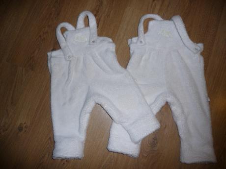 Chlupatkové lacláčky, 74