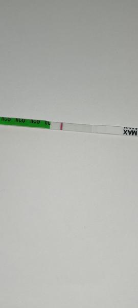 Co vidět na výsledcích testu Maybe Baby?