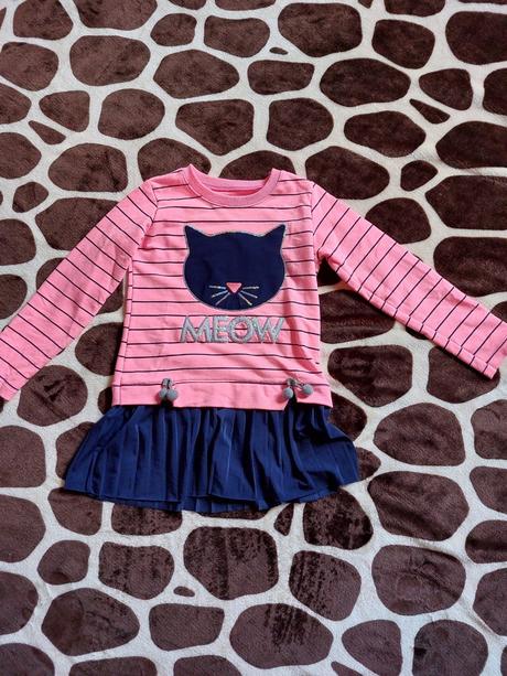 Mikina s kočkou, 110