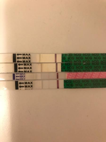 Výsledky těhotenských testů. Mohu být těhotná?