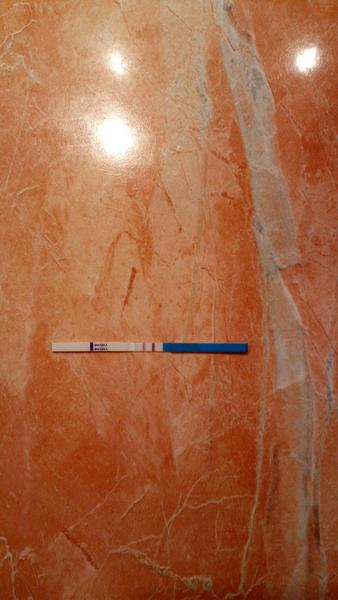 Test 1. den před MS a 3 dny po vynechání