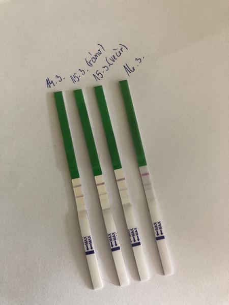 Je ovulační test pozitivní?