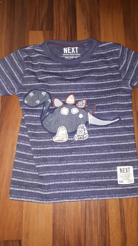 Tričko s dinosaurem 98 next, next,98