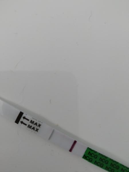 Vidíte něco na testu?