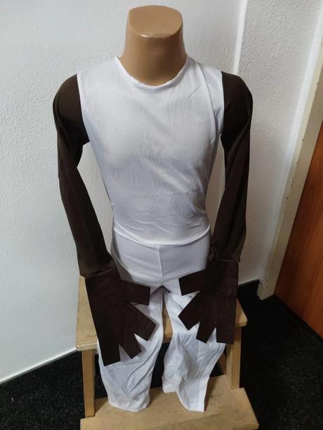 Olaf ledové království, 