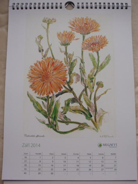 Kalendář nástěnný-na stěnu 2014, 
